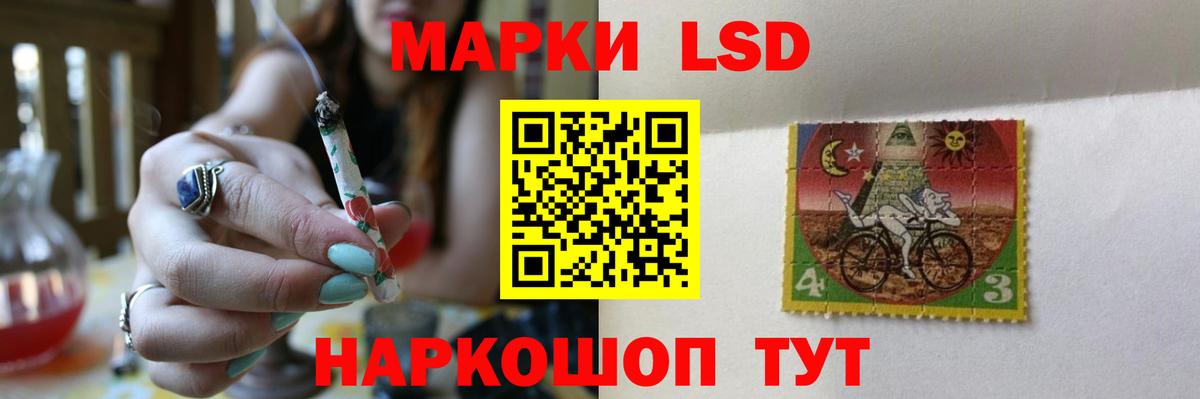 Кингисепп  ЛСД экстази кислота  Вход с VPN 