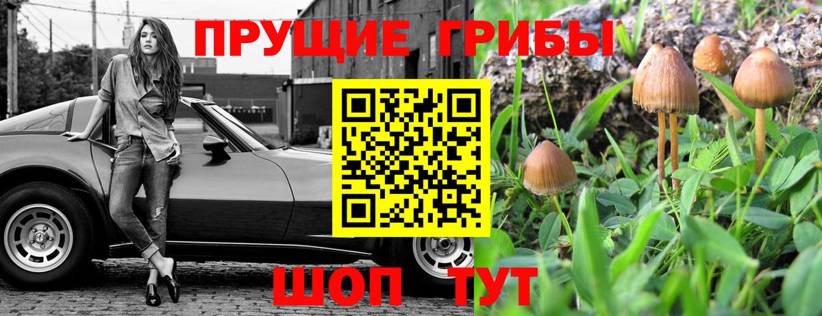 Кингисепп  Псилоцибиновые грибы прущие грибы  Псилоцибиновые грибы мухоморы  Вход с VPN 